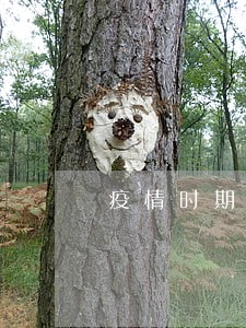 疫情时期信用卡逾期会怎样 疫情时期信用卡逾期会怎样