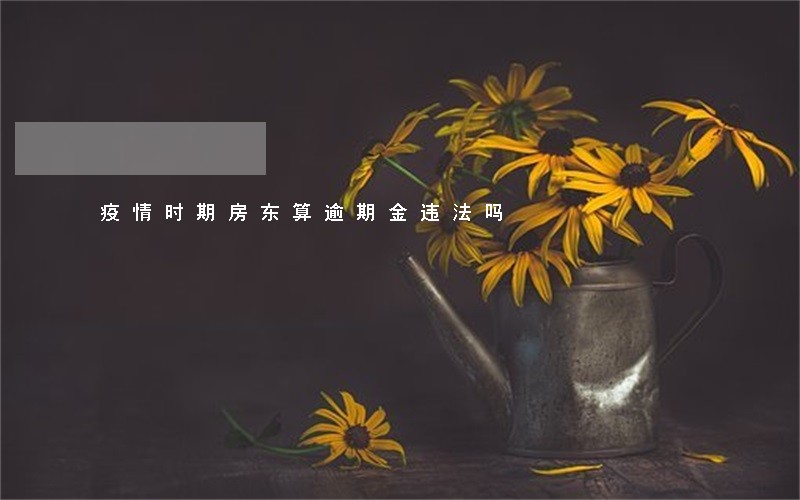 疫情时期房东算逾期金违法吗 疫情时期房东算逾期金违法吗