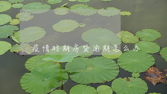 疫情时期房贷逾期怎么办 疫情时期房贷逾期怎么办