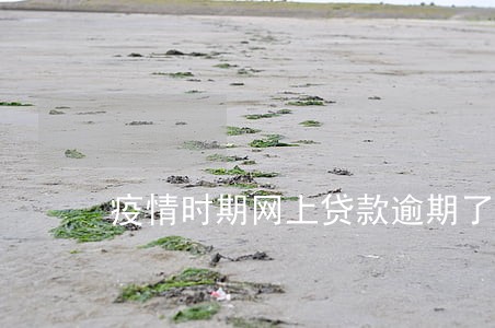 疫情时期网上贷款逾期了怎么办 疫情时期网上贷款逾期了怎么办