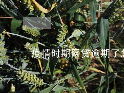 疫情时期网贷逾期了怎么办 疫情时期网贷逾期了怎么办