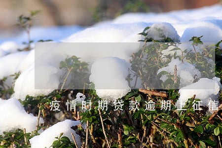 疫情时期贷款逾期上征信吗 疫情时期贷款逾期上征信吗