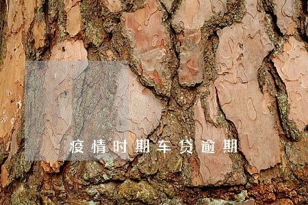 疫情时期车贷逾期 疫情时期车贷逾期