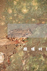 疫情时期车贷逾期5个月 疫情时期车贷逾期5个月