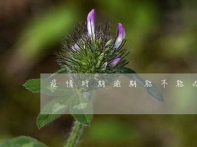 疫情时期逾期能不能办装修贷款 疫情时期逾期能不能办装修贷款