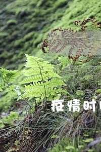 疫情时间贷款逾期怎么办