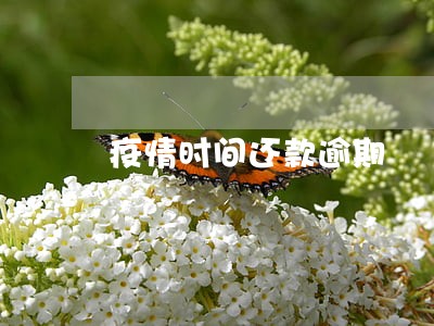 疫情时间还款逾期 疫情时间还款逾期