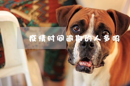 疫情时间逾期的人多吗 疫情时间逾期的人多吗