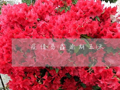 疫情易鑫逾期五天 疫情易鑫逾期五天