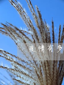 疫情有多少人房贷逾期 疫情有多少人房贷逾期