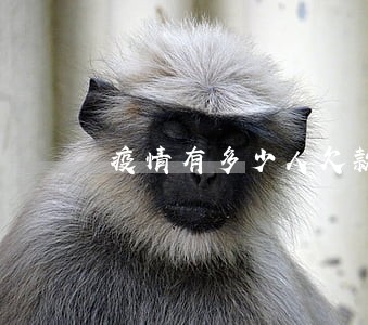 疫情有多少人欠款逾期 疫情有多少人欠款逾期