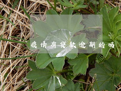 疫情有贷款逾期的吗 疫情有贷款逾期的吗