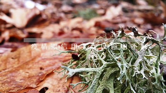 疫情期信用卡可以逾期还嘛 疫情期信用卡可以逾期还嘛