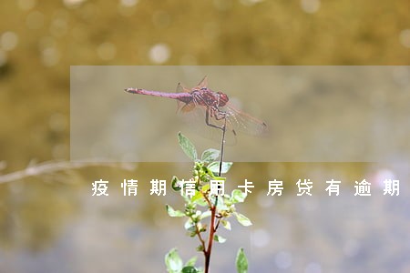 疫情期信用卡房贷有逾期吗 疫情期信用卡房贷有逾期吗