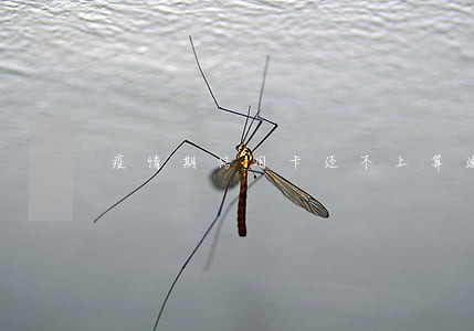 疫情期信用卡还不上算逾期吗