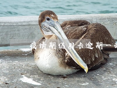 疫情期信用卡逾期一次影响贷款 疫情期信用卡逾期一次影响贷款