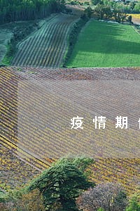 疫情期信用卡逾期处理方法