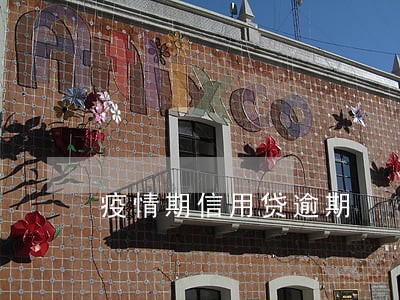 疫情期信用贷逾期 疫情期信用贷逾期