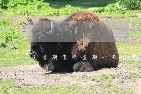 疫情期借呗逾期一天有影响吗 疫情期借呗逾期一天有影响吗