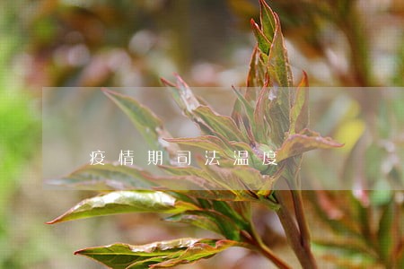 疫情期司法温度 疫情期司法温度