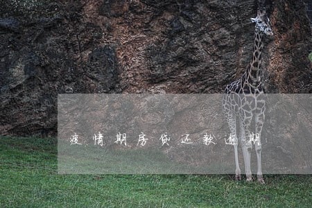 疫情期房贷还款逾期 疫情期房贷还款逾期