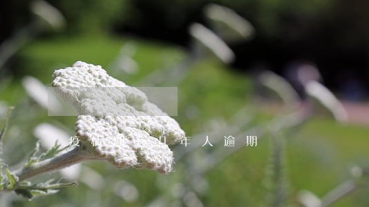 疫情期有几年人逾期 疫情期有几年人逾期