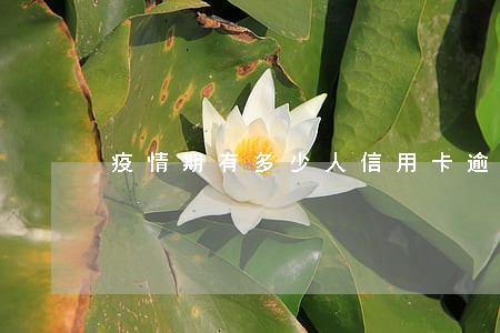 疫情期有多少人信用卡逾期 疫情期有多少人信用卡逾期