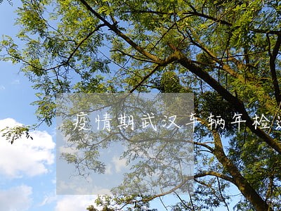 疫情期武汉车辆年检逾期