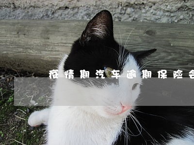 疫情期汽车逾期保险会赔吗 疫情期汽车逾期保险会赔吗