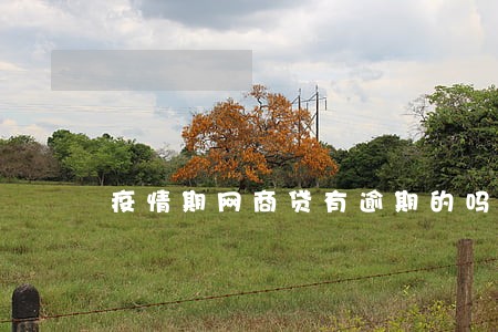 疫情期网商贷有逾期的吗 疫情期网商贷有逾期的吗