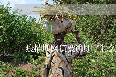 疫情期网贷要逾期了怎么办 疫情期网贷要逾期了怎么办