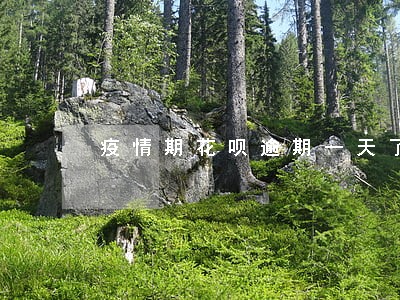 疫情期花呗逾期一天了