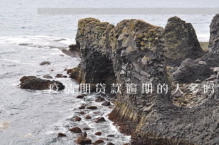 疫情期贷款逾期的人多吗 疫情期贷款逾期的人多吗