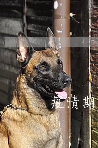 疫情期车贷逾期还款 疫情期车贷逾期还款