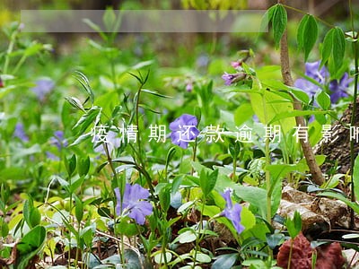 疫情期还款逾期有影响吗