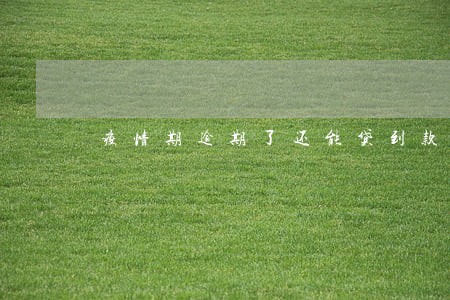 疫情期逾期了还能贷到款吗 疫情期逾期了还能贷到款吗