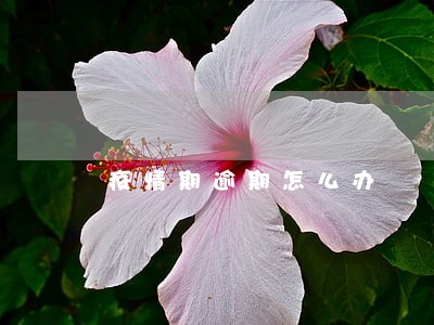 疫情期逾期怎么办 疫情期逾期怎么办