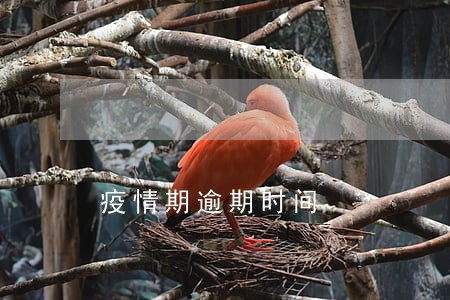 疫情期逾期时间