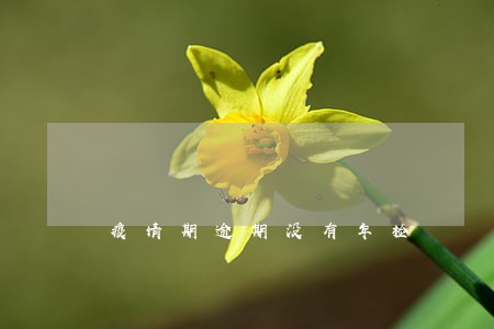 疫情期逾期没有年检 疫情期逾期没有年检