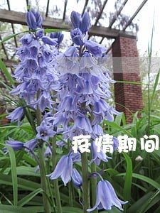 疫情期间60天逾期 疫情期间60天逾期