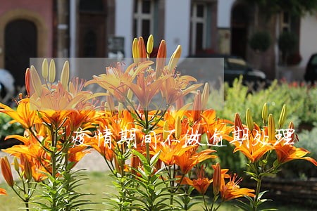 疫情期间不做逾期处理 疫情期间不做逾期处理