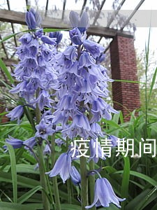 疫情期间不戴口罩是否违法 疫情期间不戴口罩是否违法
