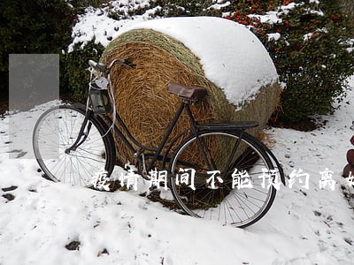 疫情期间不能预约离婚吗 疫情期间不能预约离婚吗
