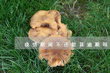 疫情期间不还款算逾期吗 疫情期间不还款算逾期吗