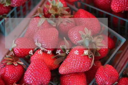 疫情期间不逾期 疫情期间不逾期