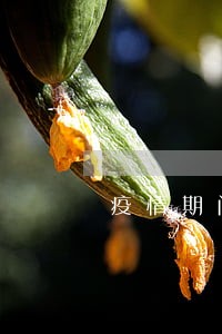 疫情期间业务逾期怎么处理 疫情期间业务逾期怎么处理