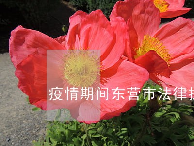 疫情期间东营市法律援助 疫情期间东营市法律援助