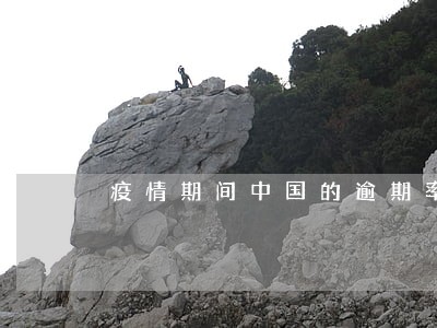 疫情期间中国的逾期率 疫情期间中国的逾期率