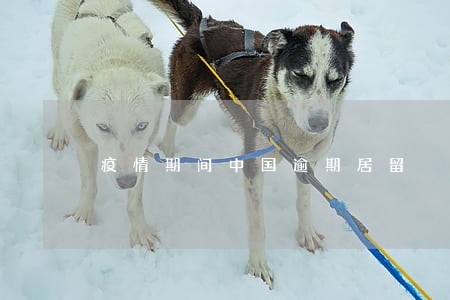 疫情期间中国逾期居留 疫情期间中国逾期居留