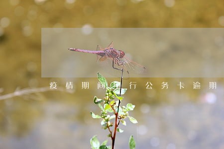 疫情期间中行公务卡逾期还款 疫情期间中行公务卡逾期还款